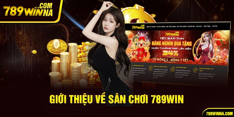 Giới thiệu về sân chơi 789win